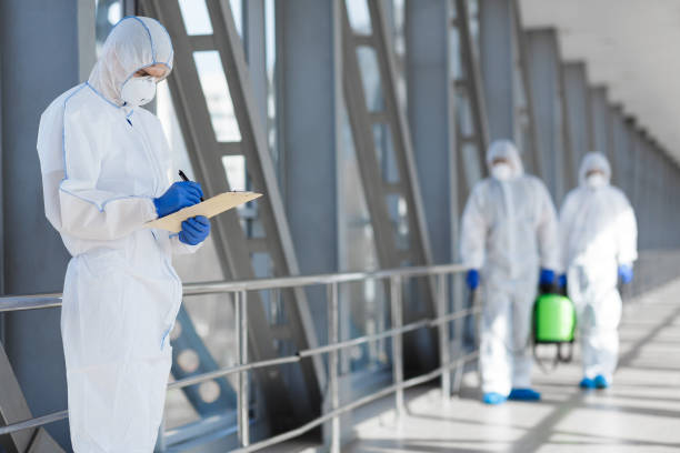 Best Mold Prevention Services  in Mino Tassajara, CA