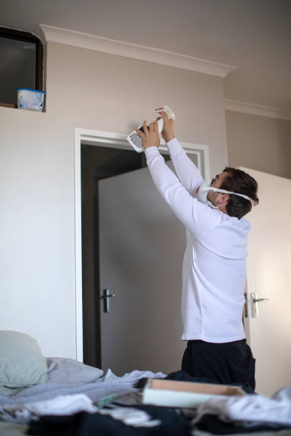 Best Real Estate Mold Inspection  in Mino Tassajara, CA